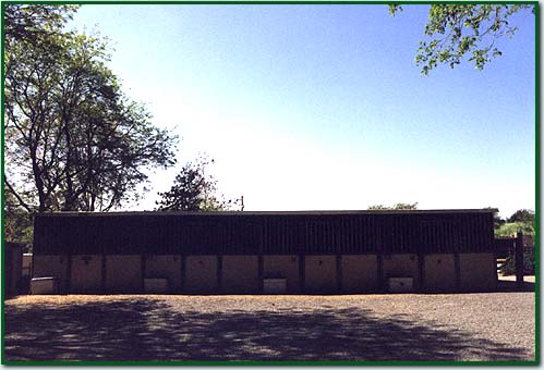 Horse Boarding Facilities with Personalized Equine Care