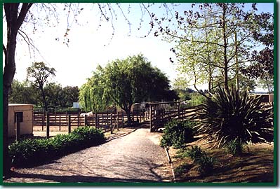Boarding Stable Facilities North Bay Area Equine Care